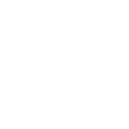 DSC_Logo_Pst